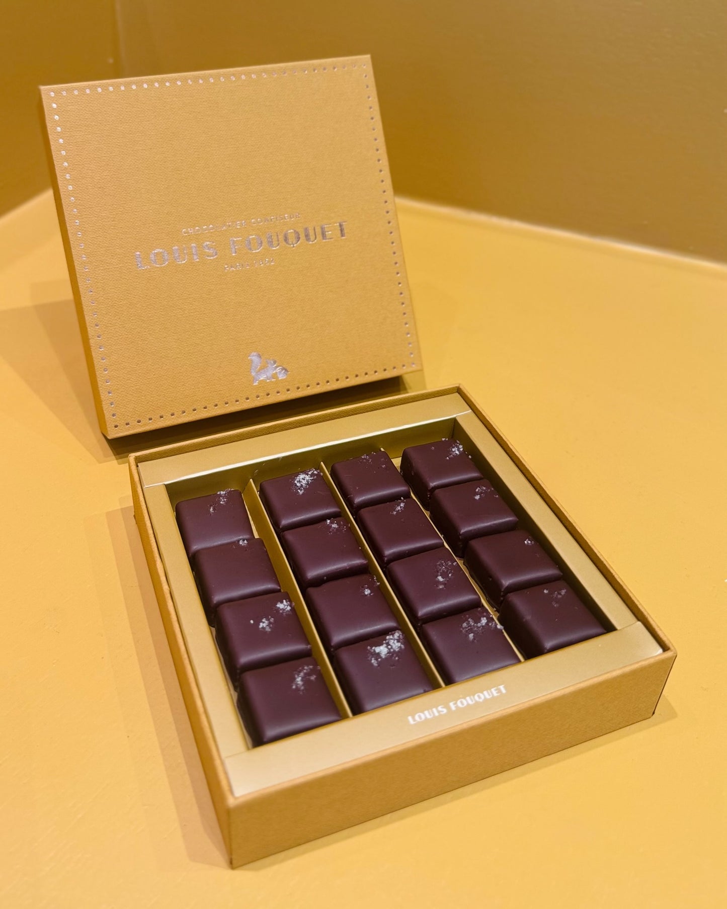 直播限定- 鹽之花果仁夾心黑朱古力禮盒 16粒裝 - Louis Fouquet
