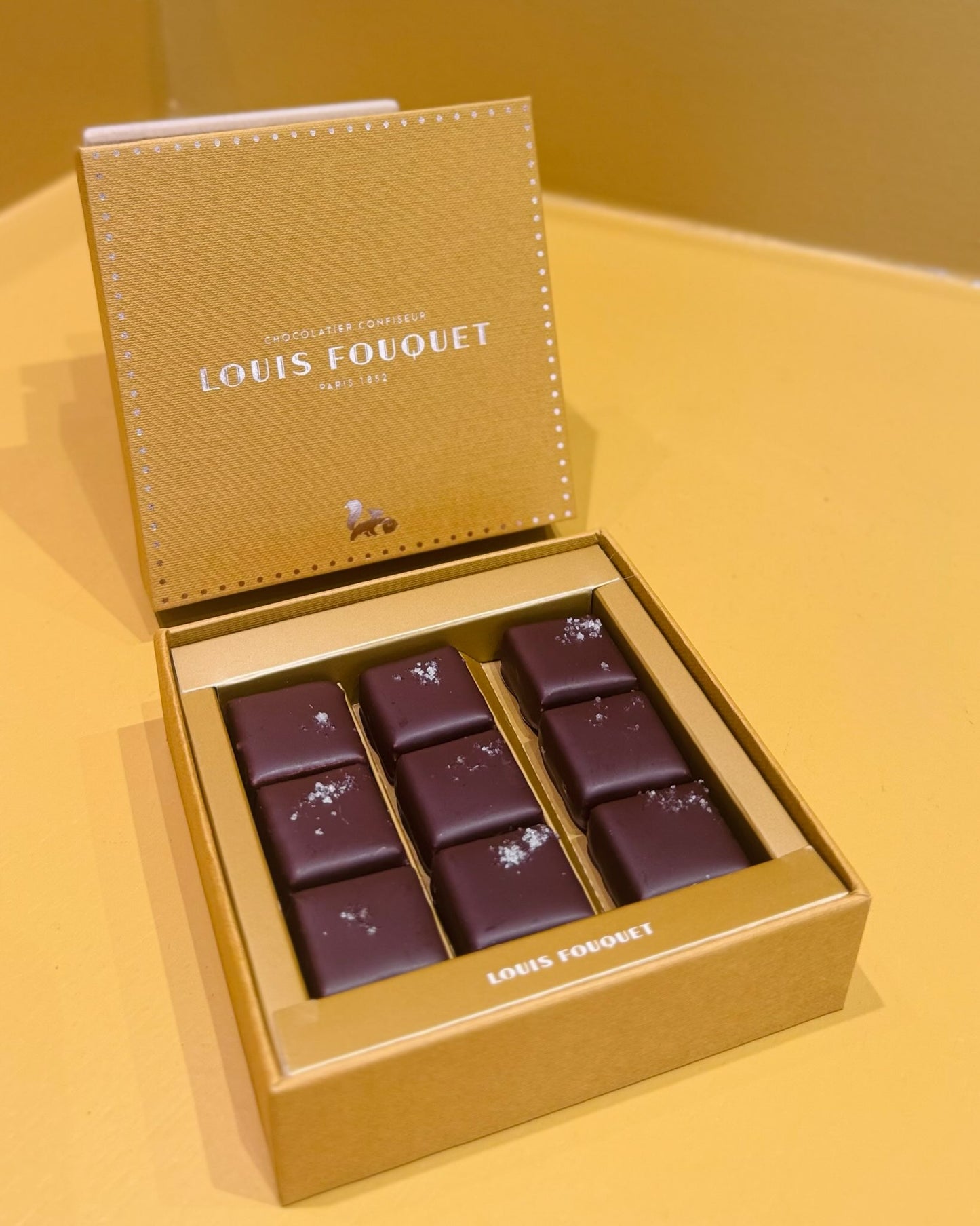 直播限定- 鹽之花果仁夾心黑朱古力禮盒 9粒裝 - Louis Fouquet